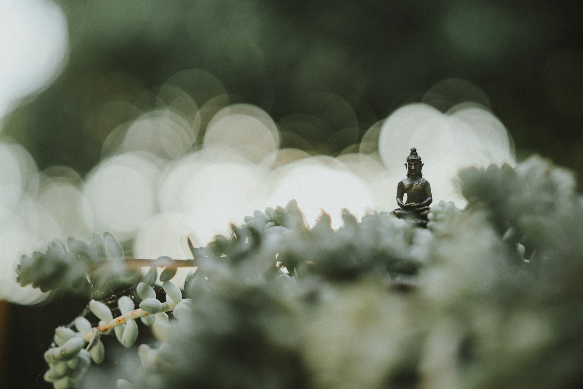 Samuel Austin OmeaSFHIxYk Unsplash 1